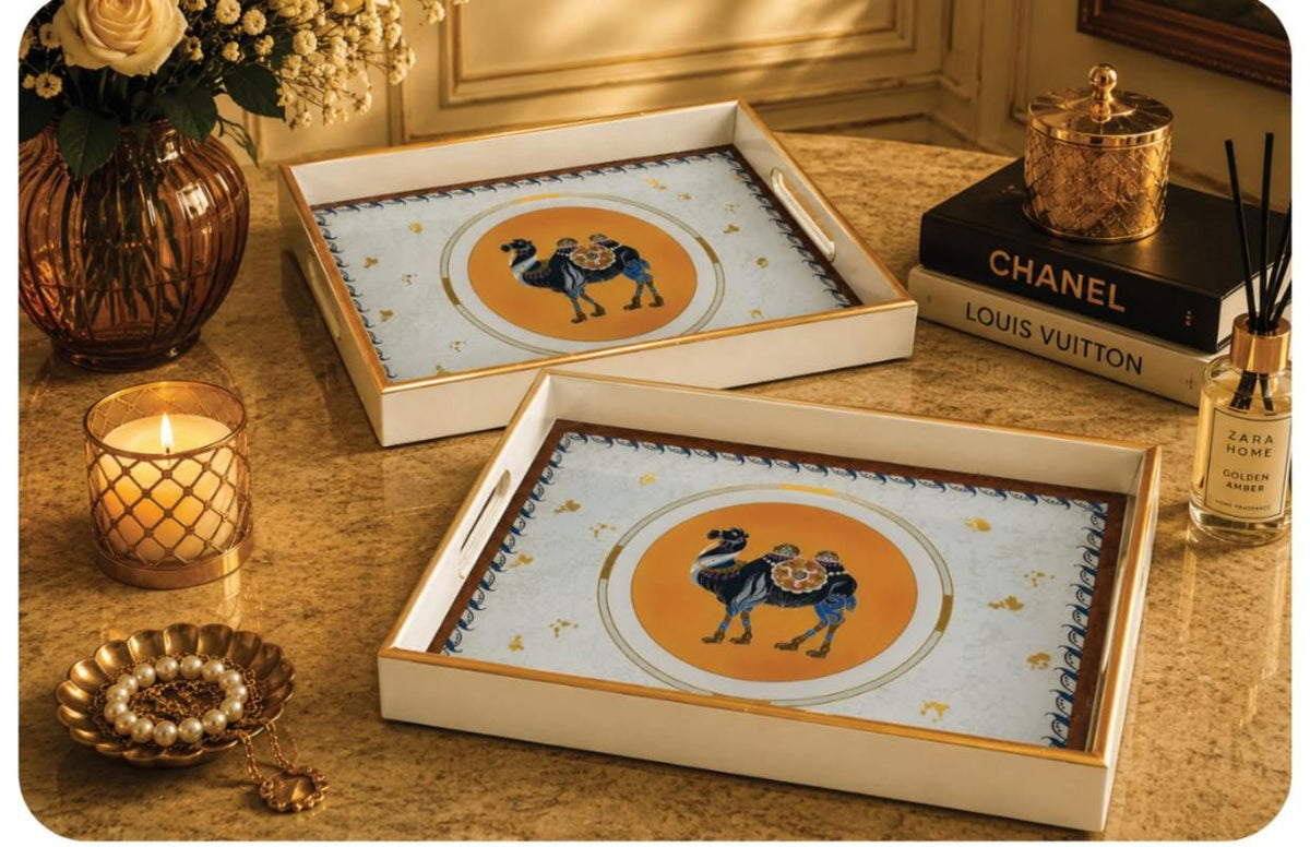 Costal Tray 2 2 Pcs Costal Tray